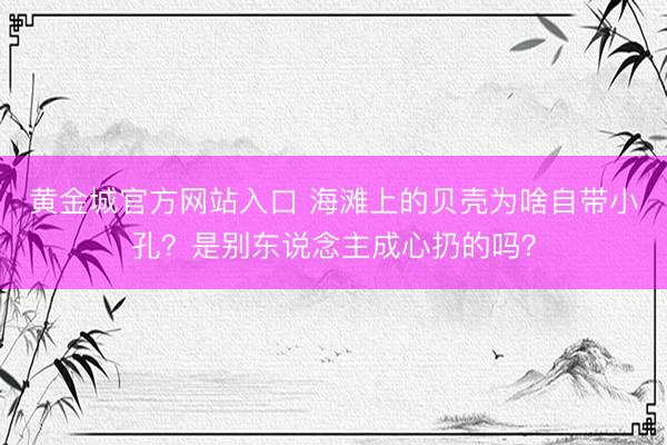 黄金城官方网站入口 海滩上的贝壳为啥自带小孔？是别东说念主成心扔的吗？