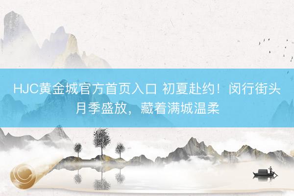 HJC黄金城官方首页入口 初夏赴约!闵行街头月季盛放,藏着满城温柔