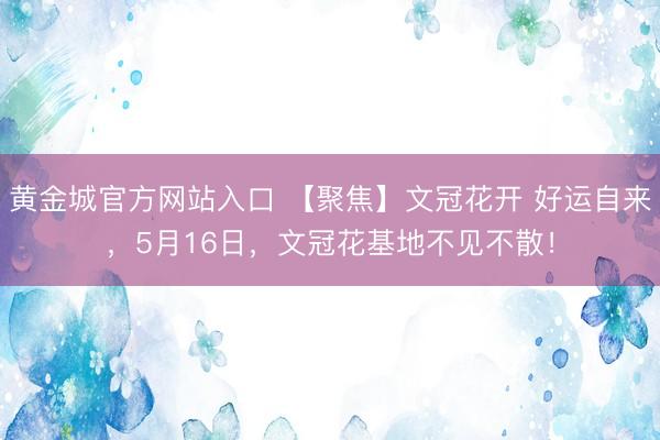 黄金城官方网站入口 【聚焦】文冠花开 好运自来,5月16日,文冠花基地不见不散!