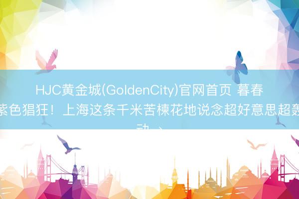 HJC黄金城(GoldenCity)官网首页 暮春为止紫色猖狂！上海这条千米苦楝花地说念超好意思超轰动→
