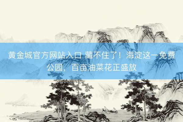 黄金城官方网站入口 藏不住了！海淀这一免费公园，百亩油菜花正盛放