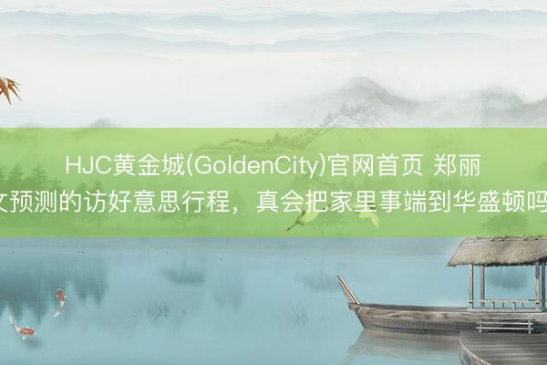 HJC黄金城(GoldenCity)官网首页 郑丽文预测的访好意思行程，真会把家里事端到华盛顿吗？