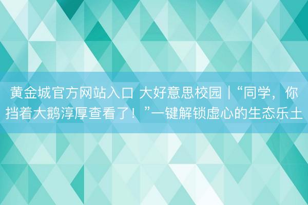 黄金城官方网站入口 大好意思校园｜“同学，你挡着大鹅淳厚查看了！”一键解锁虚心的生态乐土