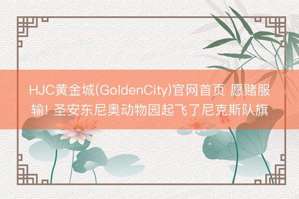 HJC黄金城(GoldenCity)官网首页 愿赌服输! 圣安东尼奥动物园起飞了尼克斯队旗